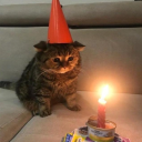 avatar ♱ Mietze ♱