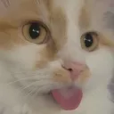 suparabbitboy