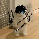 not.so_cute