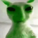 nothing_shawareb2in