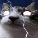 benson_chambiador_977_26292 avatar