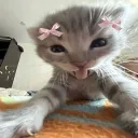 cxitasaur