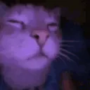 raspepsi