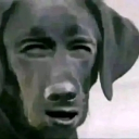 avatar Masculine_momentum