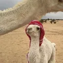 yas_eer