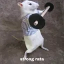 elgatopastelero avatar