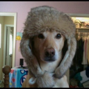 kippy_fan144's Avatar