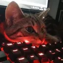 ivy.ikcheats