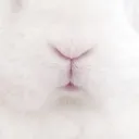 bnnifiy