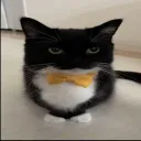j1l3in