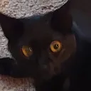 xxtylonxx