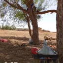 ace_frostborn2025 avatar