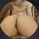 skxnnyx1337