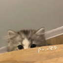 avatar Pepsi cola cat