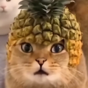 nKaiju_