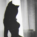 avatar 𝑳𝒊𝒍𝒊𝒂𝒏𝒂❦