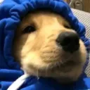 .viniyt.