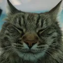 willcansing