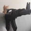 supersillycat123