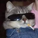 lehatop119122.0 avatar