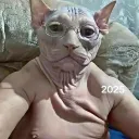 angelpro01760 avatar