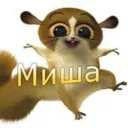 Аватар 45390011