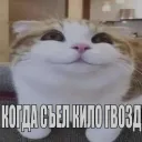 xenogleb