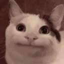 Аватар beluga00150611