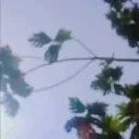 tvggvbluvxszhkbcxracbkogfdxj