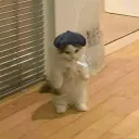 ysadxz