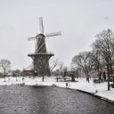 frostbain