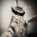 silverrbxllet