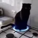melanryo
