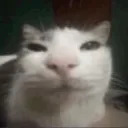 khloechavezai_62208