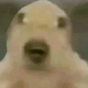 paco_jerte0519_88496 avatar