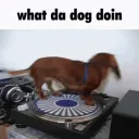 deanplayez