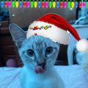 avatar Luna 🖤✝💜