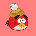 birdpathy101