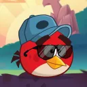 birdpathy101