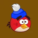birdpathy101