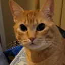 isitaberger
