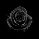 aesir_0.8