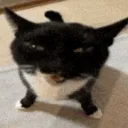 kermit87kermit avatar