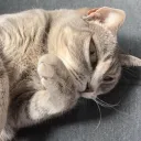 channinglistenstolaufey