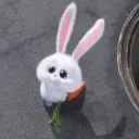 lil_lili134