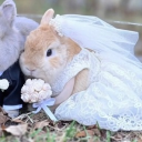 avatar cute brown eyed girl