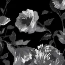 Аватар .dreamology