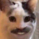 avatar хахатушка