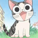 Sacha Le Chat ❤️