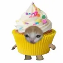 cup_ca_ke